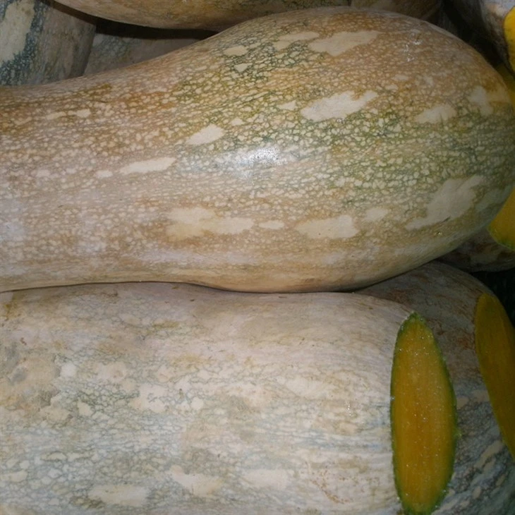 Frozen fresh pumpkin