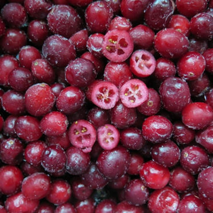 IQF Cranberries