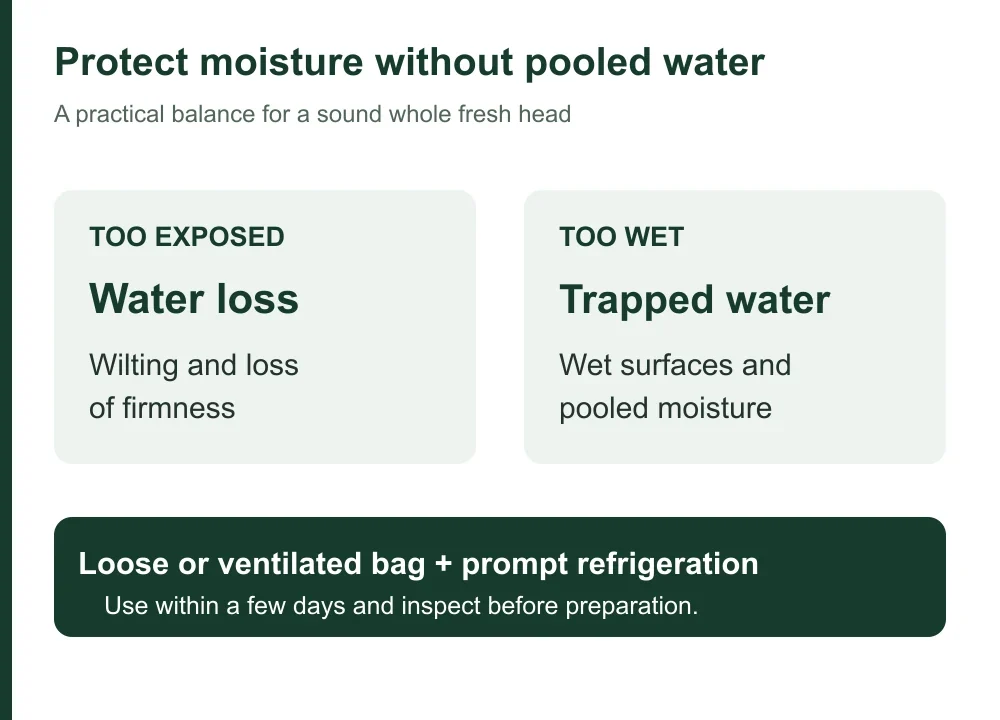 balance-moisture-protection-with-airflow balance-moisture-protection-with-airflow