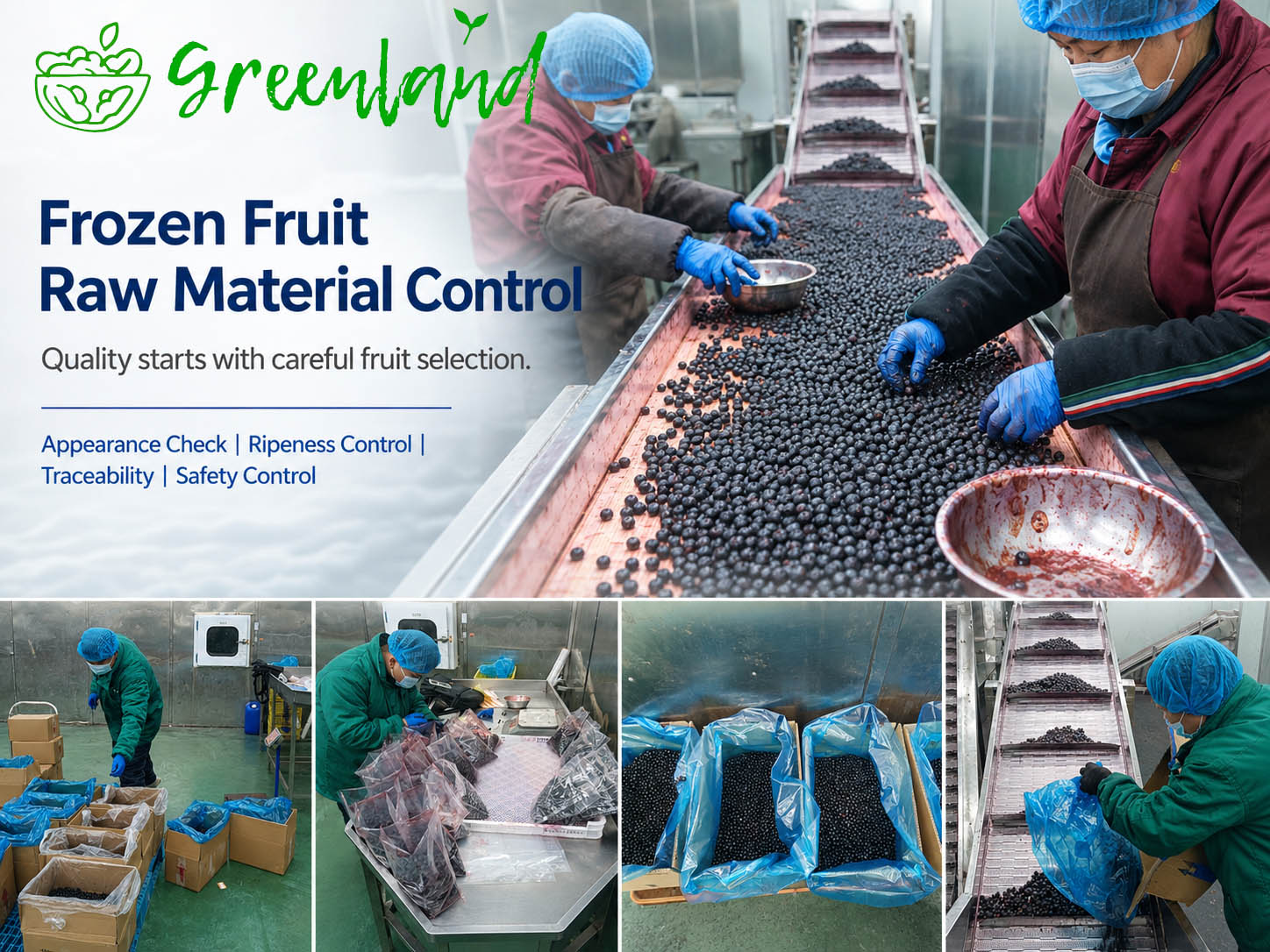 frozen-fruit-raw-material-control