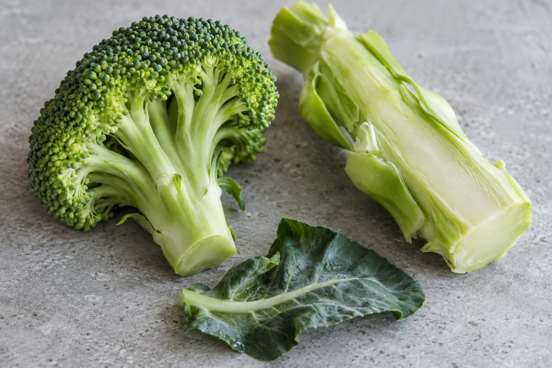 broccoli-floret-stem-leaf-textures broccoli-floret-stem-leaf-textures