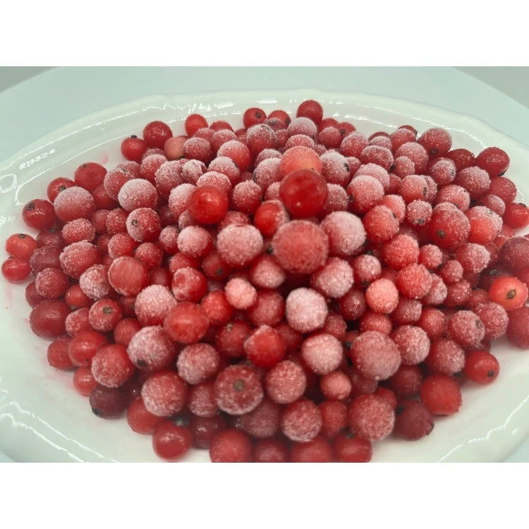 Frozen redcurrants on an inspection plate
