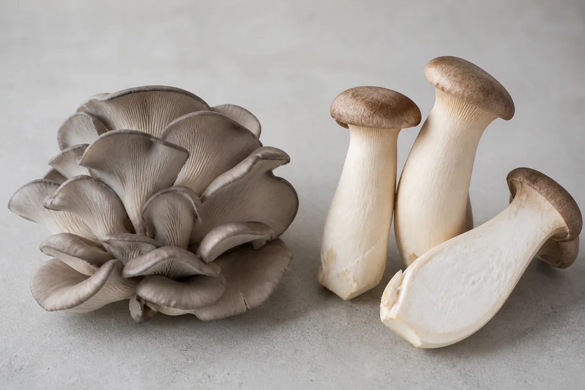 can-you-eat-oyster-mushrooms-raw-02-support can-you-eat-oyster-mushrooms-raw-02-support