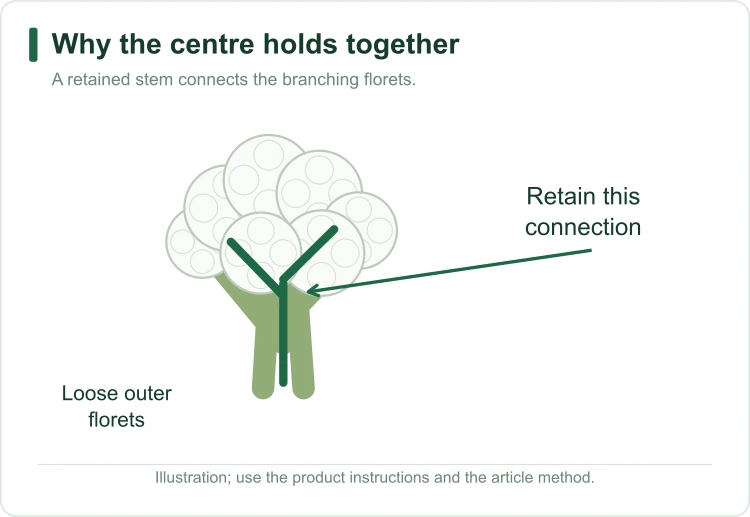 cauliflower-core-support cauliflower-core-support