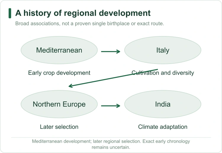 cauliflower-regional-history cauliflower-regional-history