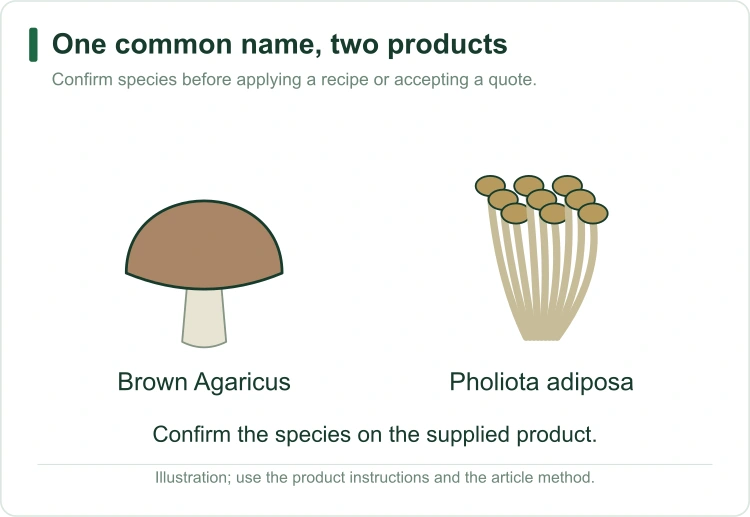 chestnut-mushroom-name-check chestnut-mushroom-name-check