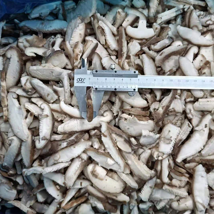 Fourth shiitake view for product-format evidence