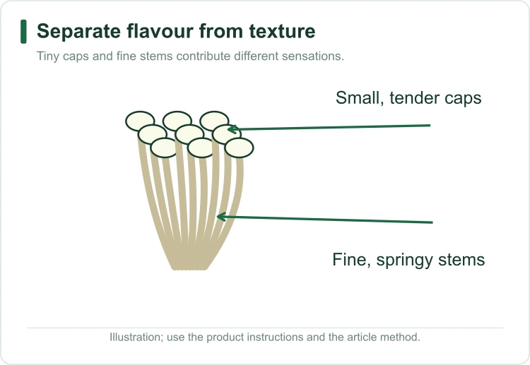 enoki-stem-and-cap-texture enoki-stem-and-cap-texture