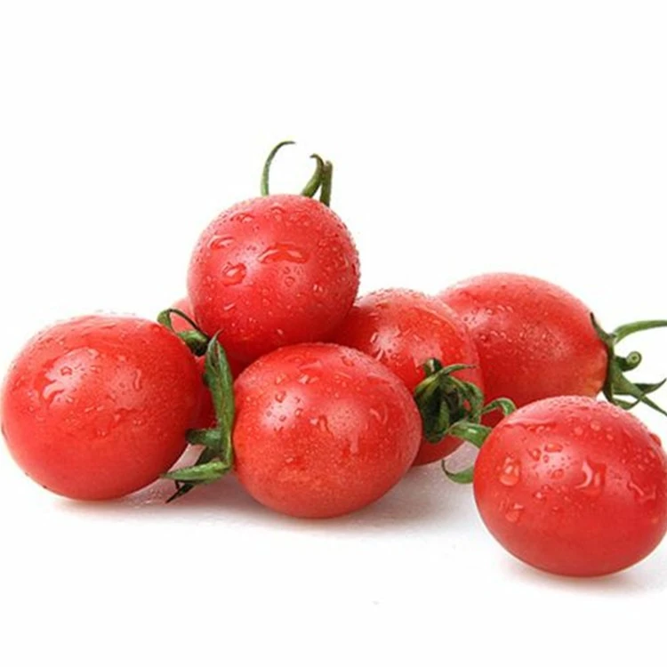 Fresh whole cherry tomatoes from the GreenLand product gallery.