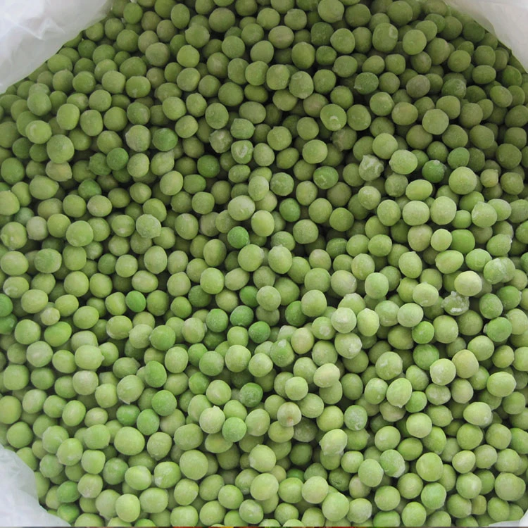 Frozen green peas shown as separate pieces in the GreenLand product photograph Frozen green peas shown as separate pieces in the GreenLand product photograph