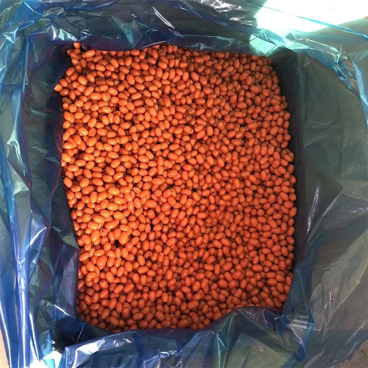 Freezing Sea Buckthorn