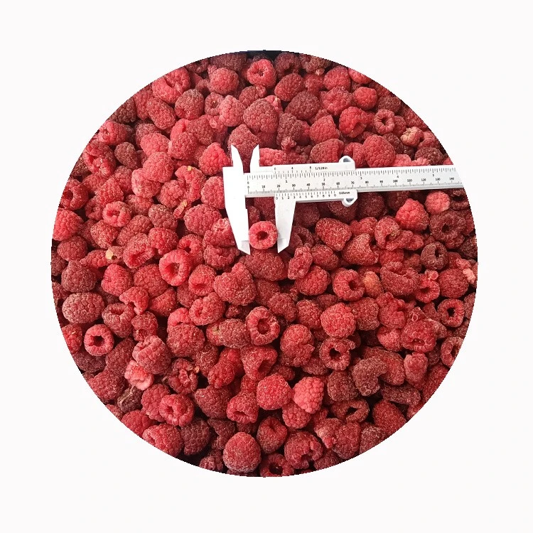 fresh raspberries for desserts smoothies and fruit applications fresh raspberries for desserts smoothies and fruit applications