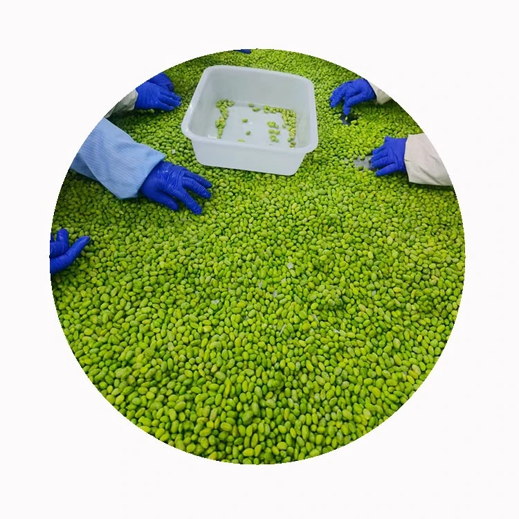 frozen edamame supplier frozen edamame supplier