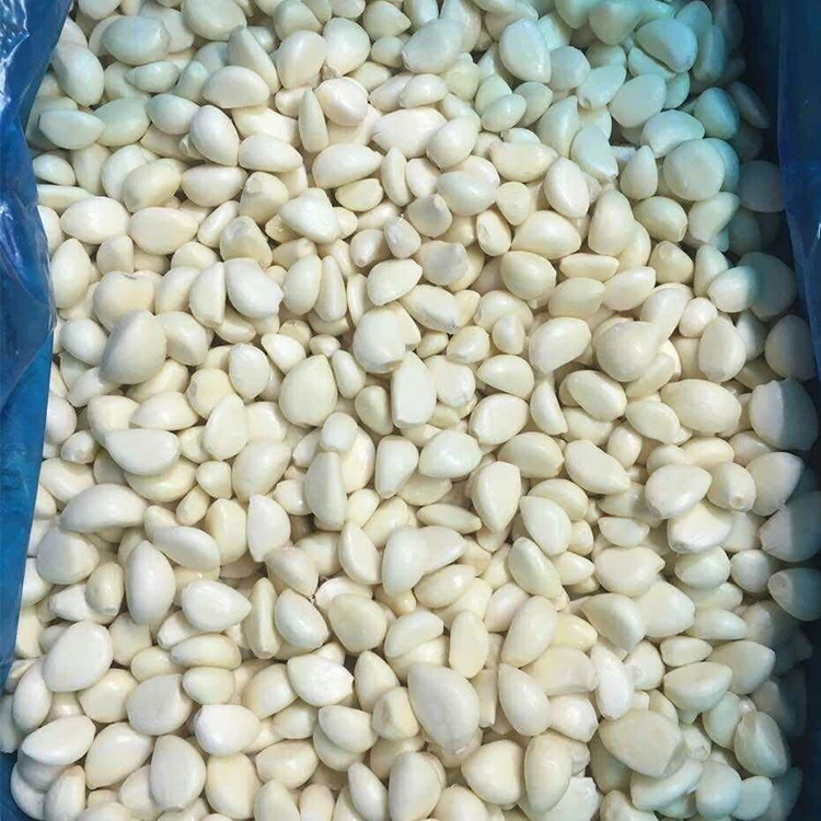 Sorted whole garlic cloves for IQF processing Clean whole garlic cloves showing uniformity expected for frozen garlic processing