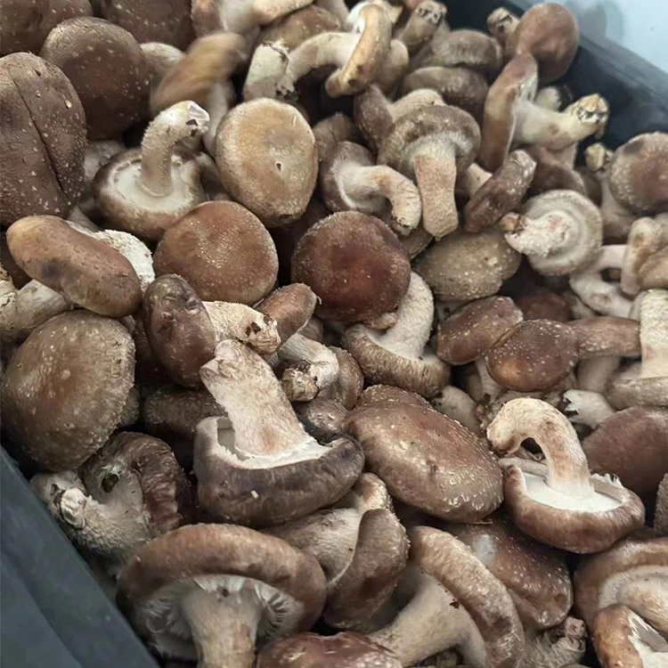 Frozen sliced shiitake view for preparation guidance