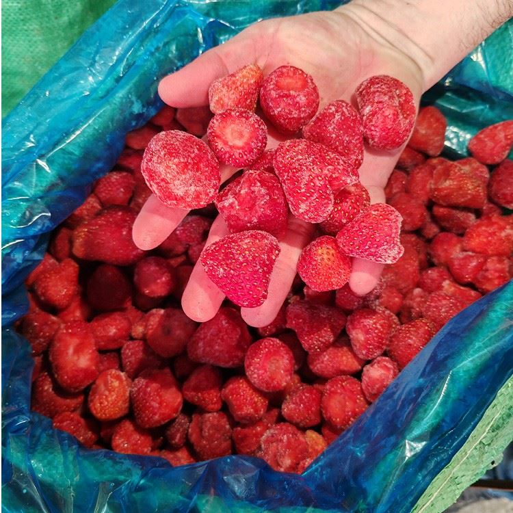 Hand displaying whole IQF frozen strawberries above a bulk blue liner