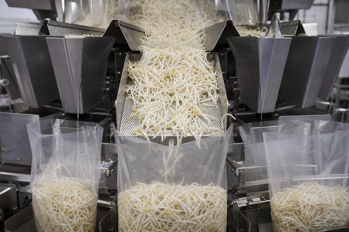 how-to-store-bean-sprouts-bean-sprout-retail-packing how-to-store-bean-sprouts-bean-sprout-retail-packing