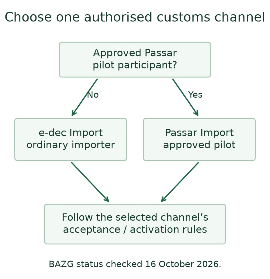 Alternative Swiss customs channels: e-dec for ordinary importers and Passar for approved pilots Alternative Swiss customs channels: e-dec for ordinary importers and Passar for approved pilots
