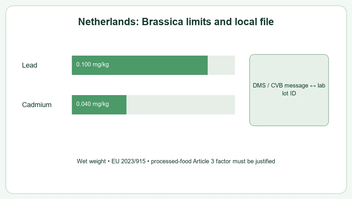 Netherlands broccoli agree eu safety, labels and a buyer specification for this lot decision relationship Netherlands broccoli agree eu safety, labels and a buyer specification for this lot decision relationship