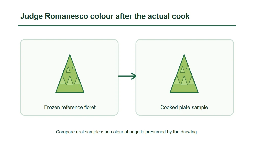 Judge Romanesco colour after the actual cook Judge Romanesco colour after the actual cook