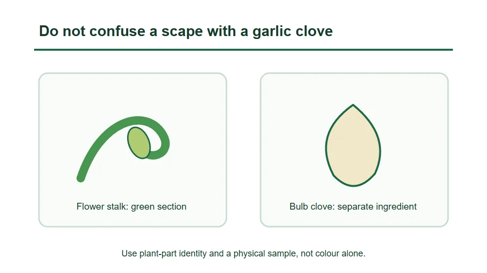 Do not confuse a scape with a garlic clove Do not confuse a scape with a garlic clove