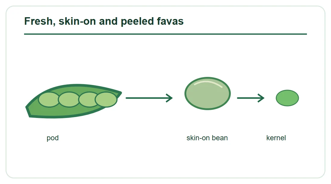 How to Cook Fava Beans: Frozen, Peeled and Skin-On Forms How to Cook Fava Beans: Frozen, Peeled and Skin-On Forms