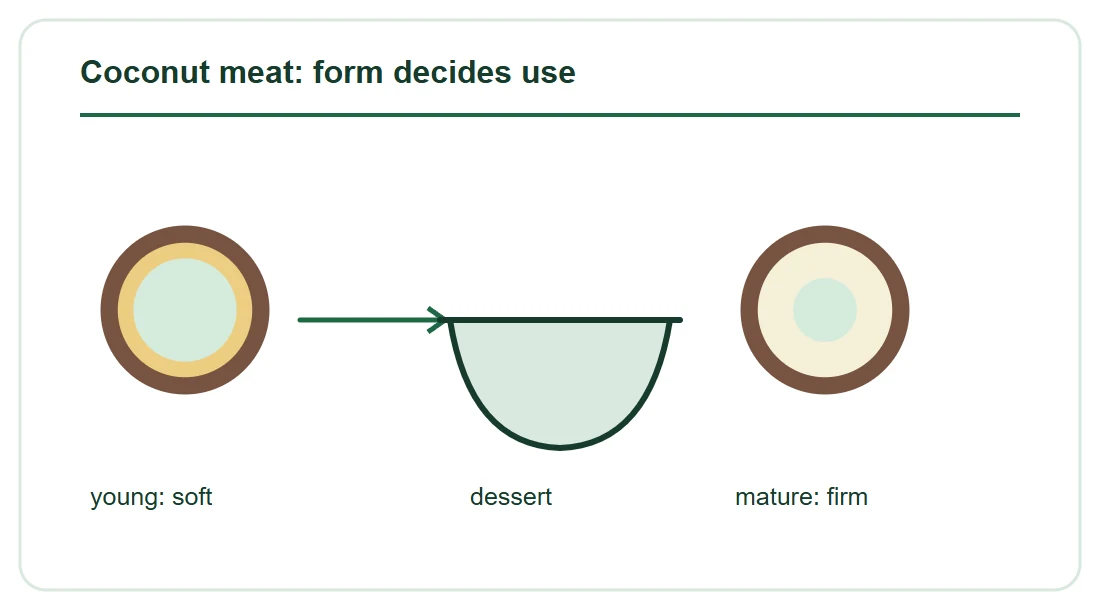 Using Coconut Meat in Food: Young, Mature and Frozen Forms Using Coconut Meat in Food: Young, Mature and Frozen Forms