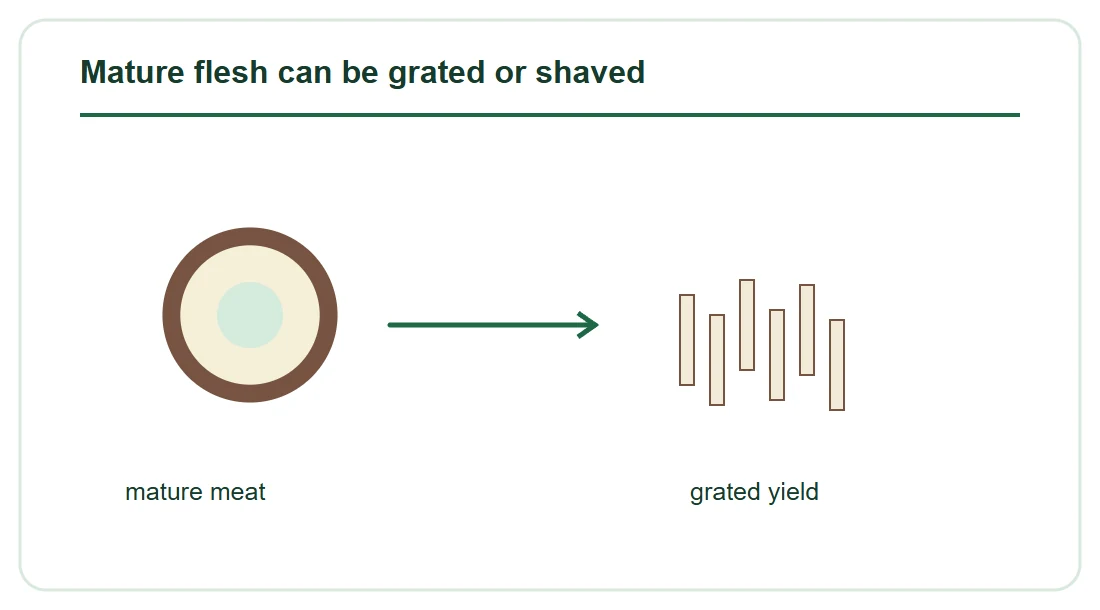 Mature flesh can be grated or shaved Mature flesh can be grated or shaved