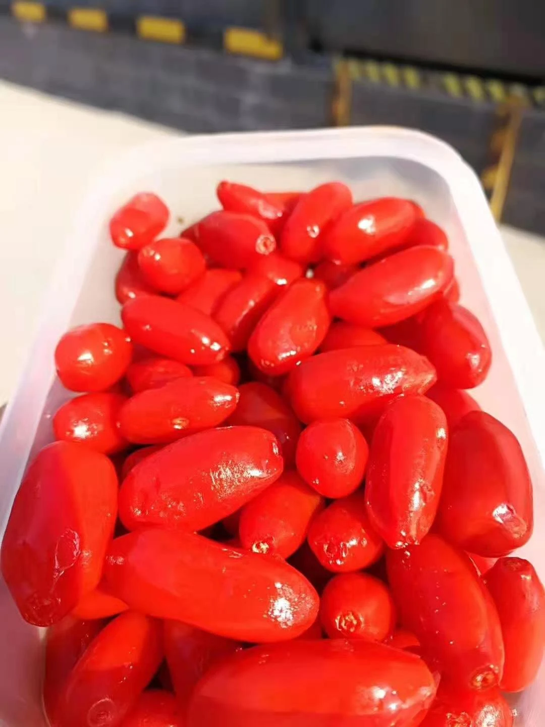 Company-supplied goji berries arranged in a white tray