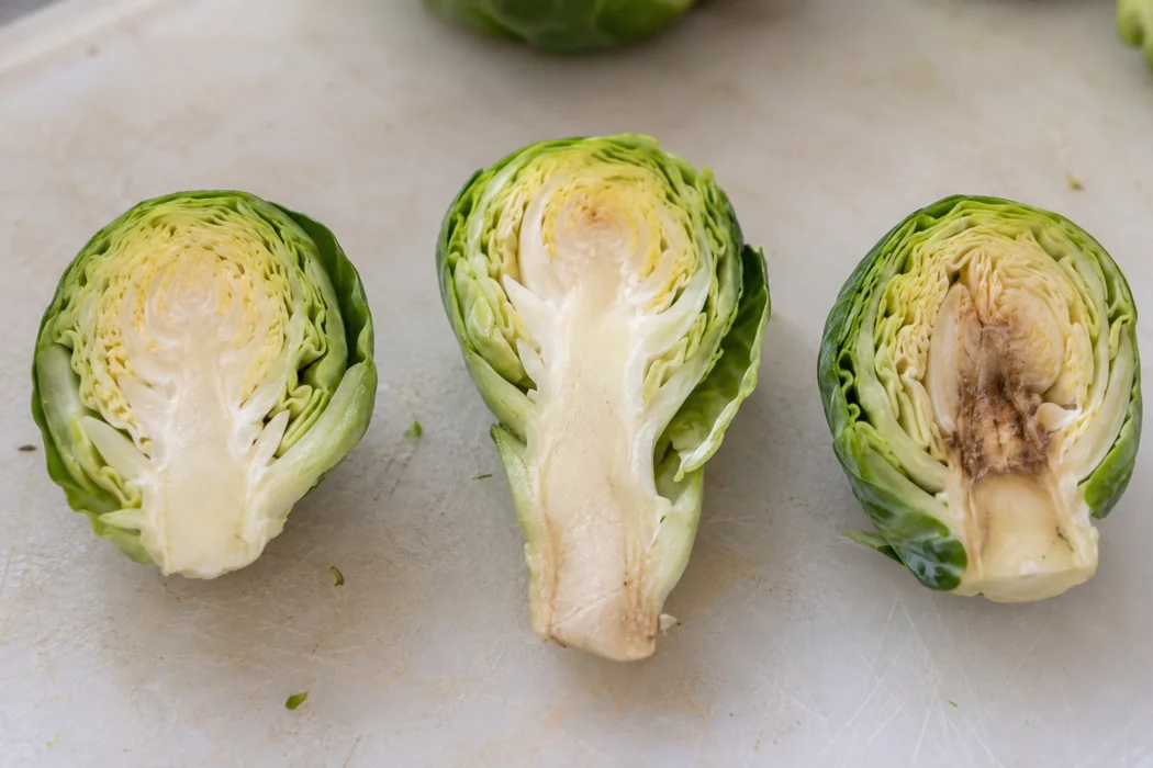 Brussels sprout stem and core comparison Brussels sprout stem and core comparison