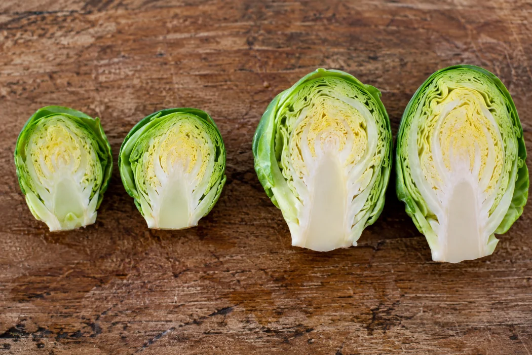 Small and large Brussels sprout halves Small and large Brussels sprout halves