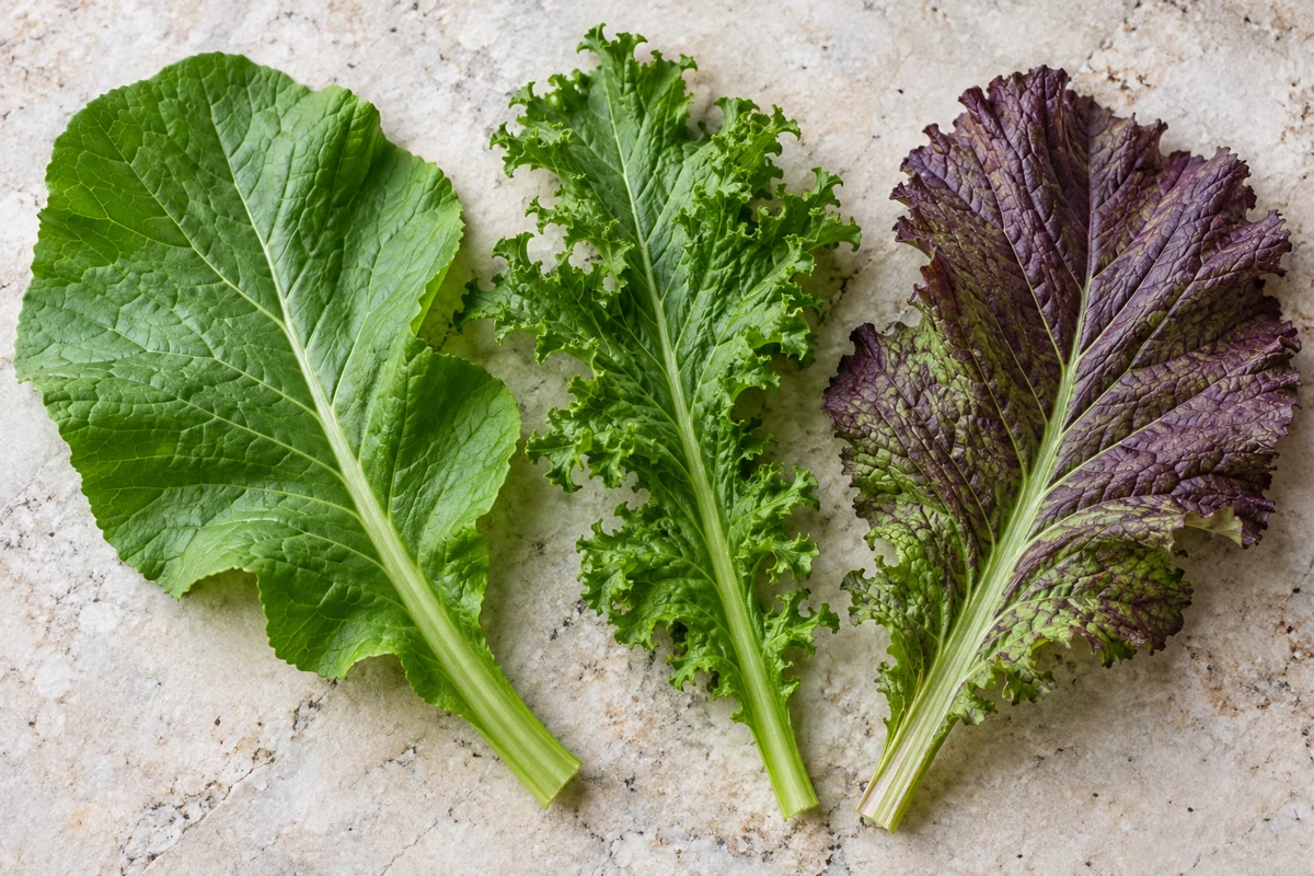 Variation in mustard leaf form Broad green, curled green and purple-tinged mustard leaves