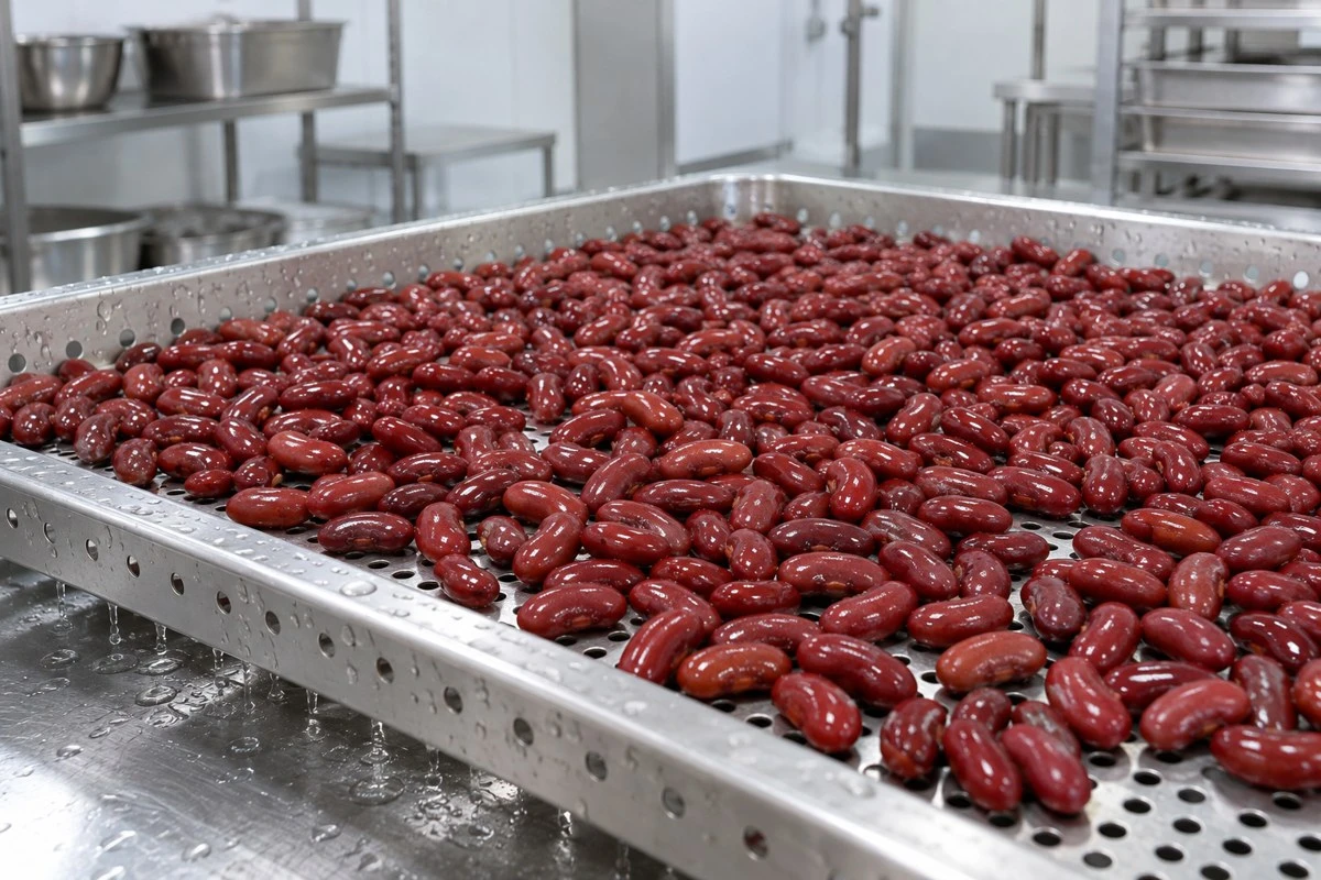 Cooked beans on a draining tray illustrate the handling stages that follow the initial heat treatment Cooked beans on a draining tray illustrate the handling stages that follow the initial heat treatment