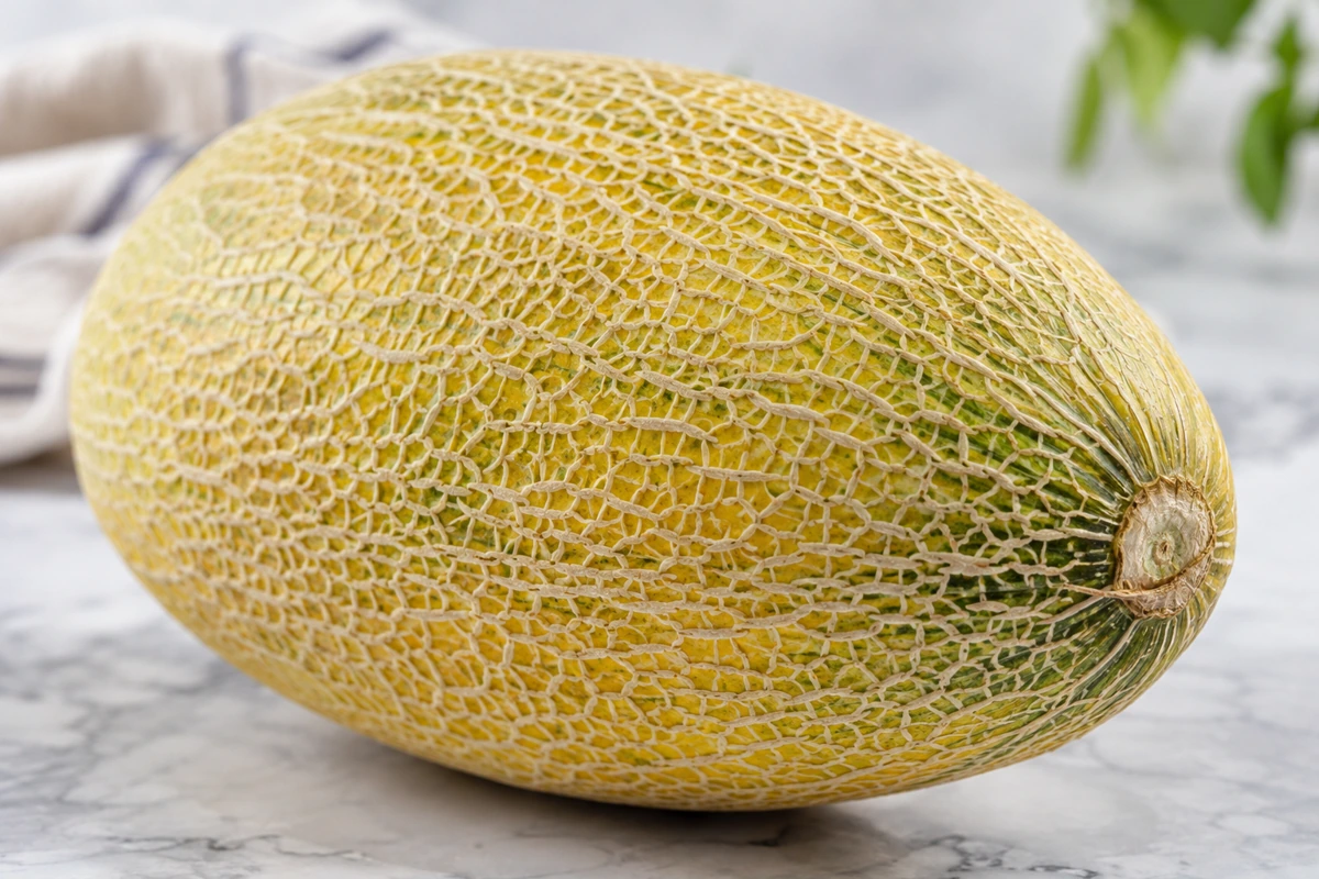 Fine netting and a dry stem attachment on a yellow-green Hami melon Fine netting and a dry stem attachment on a yellow-green Hami melon