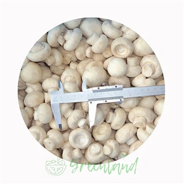 Blanched vs Unblanched Frozen Mushrooms: Buyer Guide