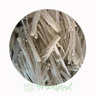Frozen Enoki Mushrooms: Handling, Performance, Use Cases