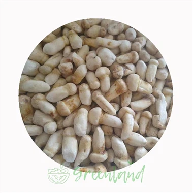 Frozen Mushroom Storage & Shelf Life: Temperature Rules and Failure Signs