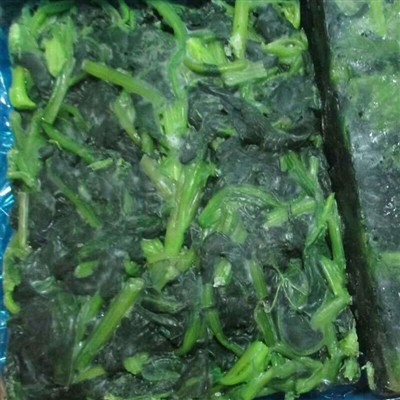 Can You Freeze Spinach Leaves?