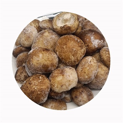 Can Mushrooms Be Frozen?