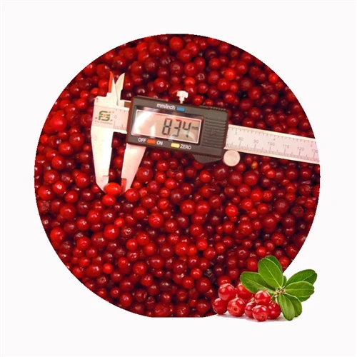 What Does Lingonberry Taste Like?