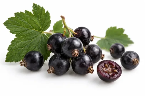 What Is Cassis? Blackcurrant Fruit, Puree and Flavor Explained
