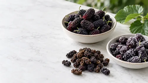 Are Mulberries Edible? Fresh, Dried and Frozen Forms