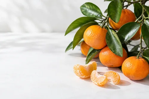 Where Do Mandarins Come From? Origins and Crop Seasons