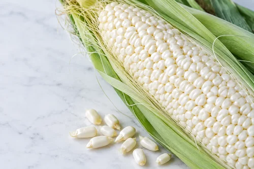 What Is Shoepeg Corn? Kernel Shape, Sweetness and Frozen Product Fit