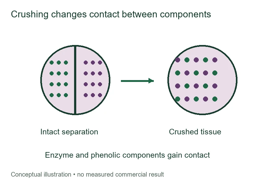 Crushing changes contact between components Crushing changes contact between components