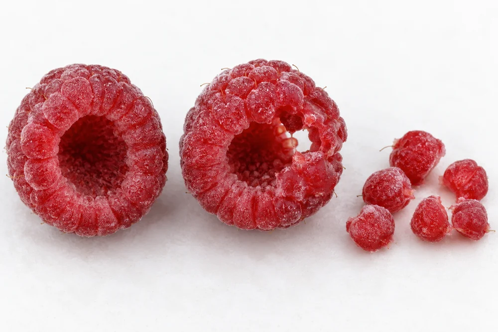 Raspberry piece and drupelet-loss states Whole hollow raspberry beside partial berry and loose drupelets