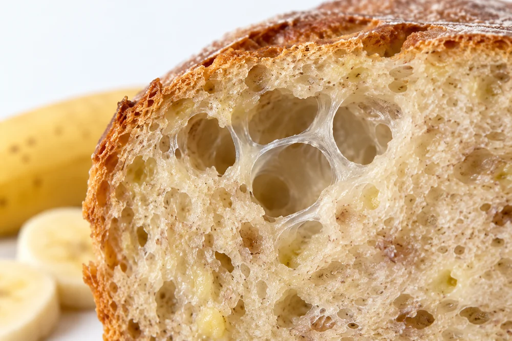 Gas-cell films in the bread matrix Conceptual close-up of a hydrated film spanning bread gas cells