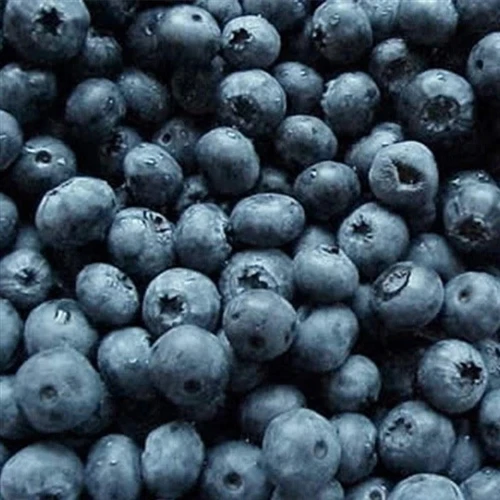 Frozen Produce Certification and Market Requirements: Reference Questions