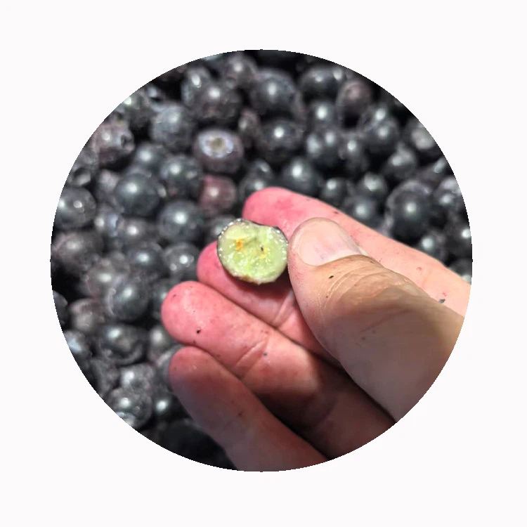 does frozen fruit go bad does frozen fruit go bad