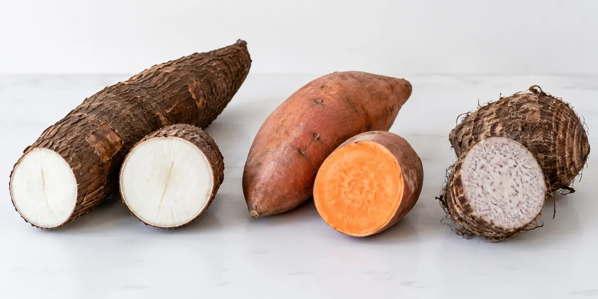 Cassava, sweet potato and taro roots with contrasting cut surfaces